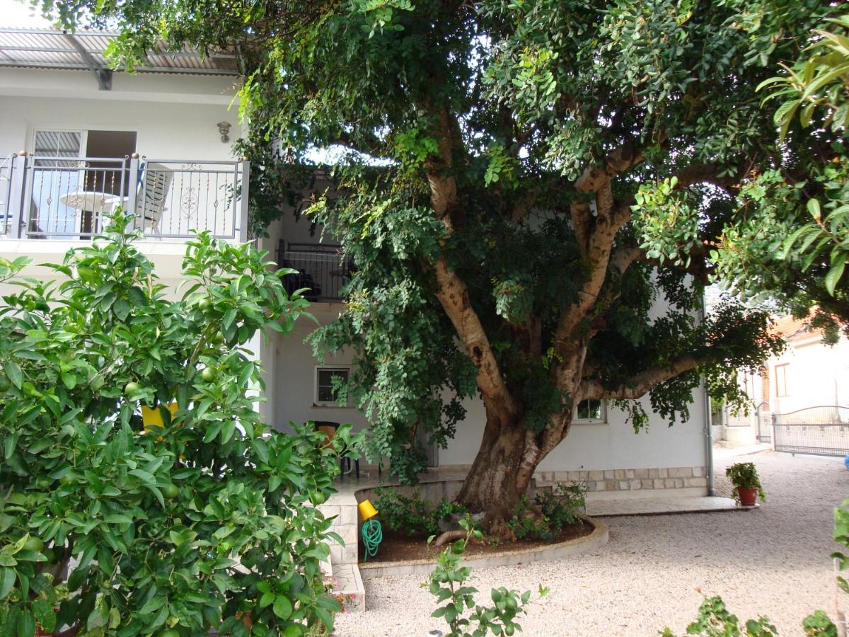 Apartments By The Sea Orebic, Peljesac - 4490 Luaran gambar